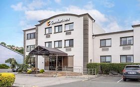 Comfort Inn Edgewater on Hudson River